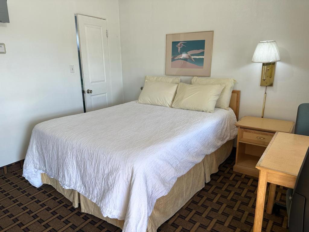 Ski'S Western Motel Great Falls Buitenkant foto