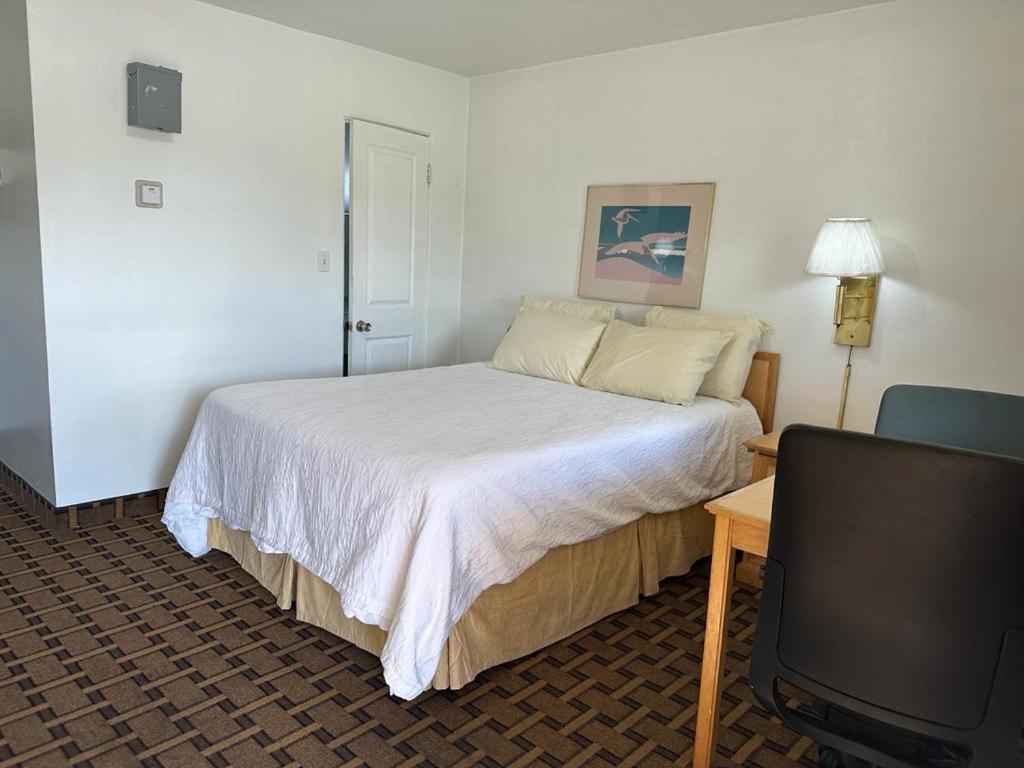 Ski'S Western Motel Great Falls Buitenkant foto